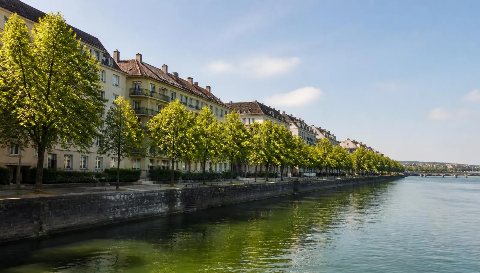 Wohnhäuser am Rheinufer in Basel mit Baumallee